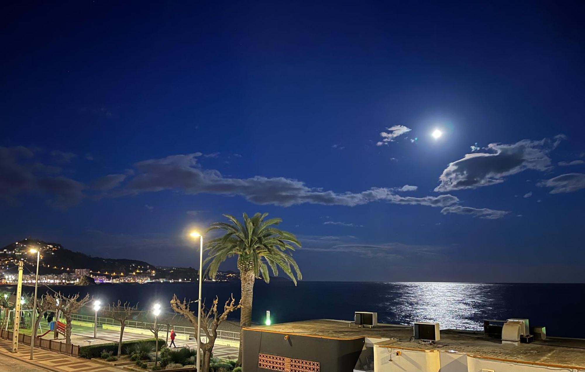 Estudio Con Impresionantes Vistas Al Mar Blanes Exteriör bild
