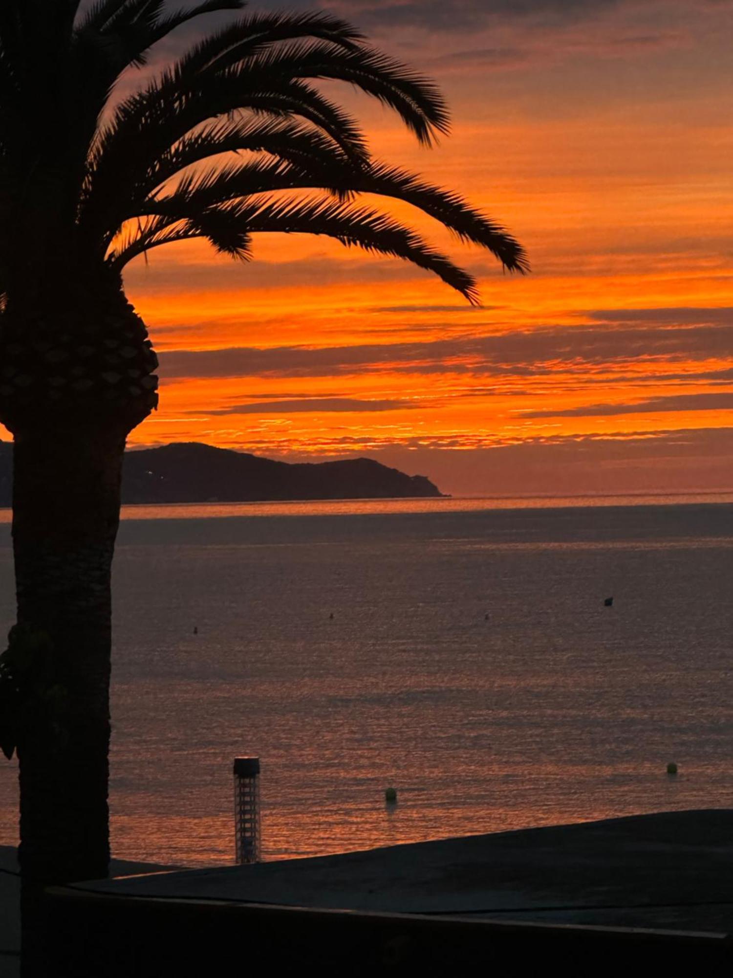 Estudio Con Impresionantes Vistas Al Mar Blanes Exteriör bild